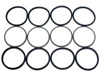 Brake Caliper Seal Kit [OEM AEU1547G]