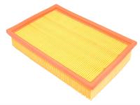 Air Filter Element [COOPERS LR005816]