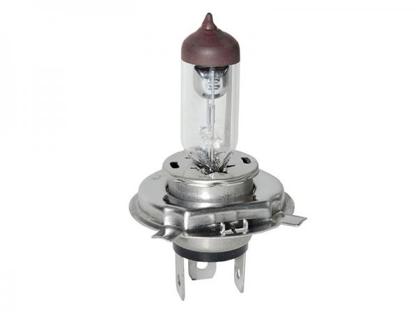 Bulb [REPLACEMENT 589783] Primary Image