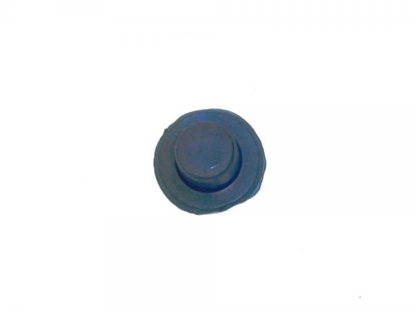 Bleed Screw Cap [EAC 594091] Primary Image