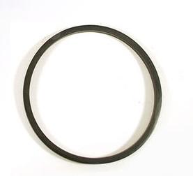 Fuel Filter Sealing Ring [EUROSPARE AAU9902]