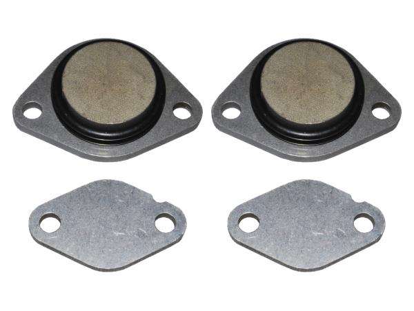 EGR Valve Blanking Kit [BRITPART DA1112]