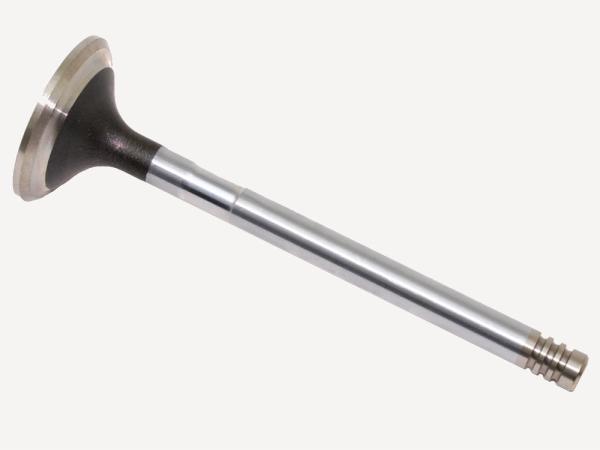 Exhaust Valve [EUROSPARE ERR1156] Primary Image