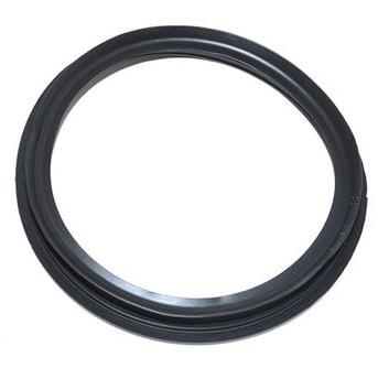 Fuel Tank Sender and Pump Seal [REPLACEMENT ESR3806] Primary Image