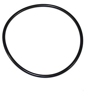 Rear Hub O Ring [EUROSPARE FTC4919] Primary Image