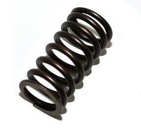 Valve Springs [OEM LGL10008L] Primary Image