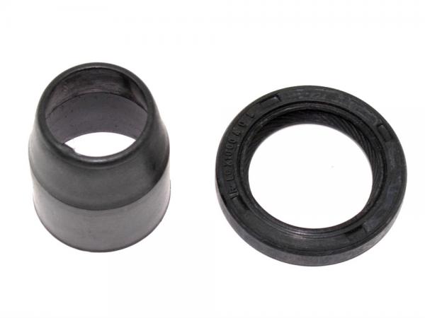 Oil Pump Seal [BRITPART LQX100040L]