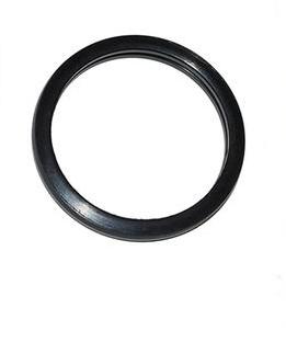 Engine Thermostat Seal [BRITPART LR004613]