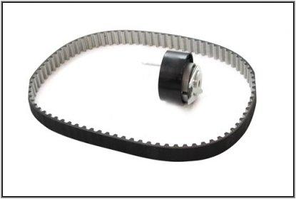 Kit - Timing Belt - Rear [DAYCO LR019115] Primary Image