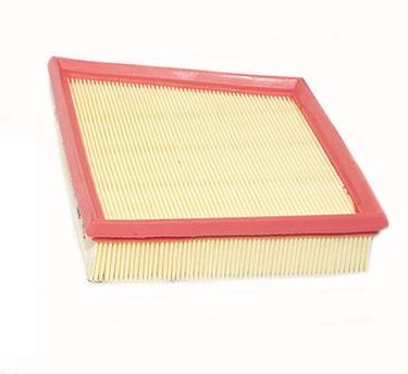 Left Hand Air Filter [LAND ROVER LR092258GEN]