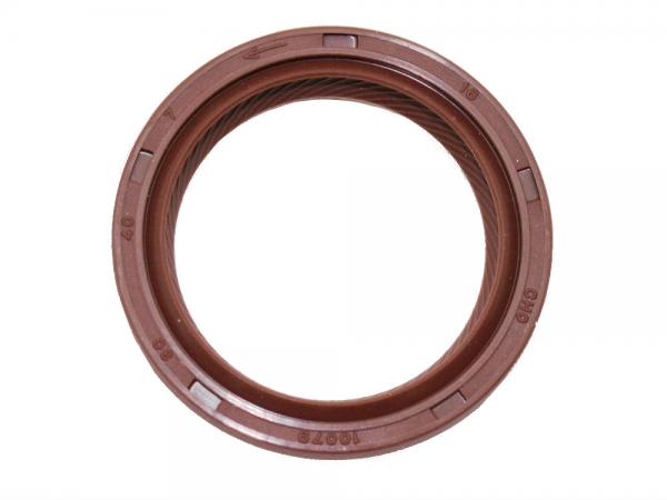 Camshaft Seal - Rear [EUROSPARE LUC100220L] Primary Image