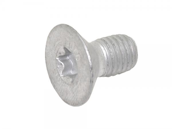 Brake Disc Screw [OEM SYP100241]