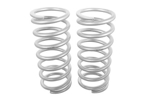 Coil Spring [TERRAFIRMA TF038]