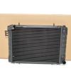 Radiator Assembly [BRITPART BTP1742]