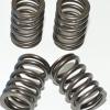 Valve Spring [OEM ERR4640]