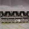 Cylinder Head Assy [BRITPART LDF500180]