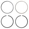 Piston Ring Set [HASTINGS LFT000100H]