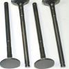 Exhaust Valves [BRITPART LGH101190L]