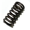 Valve Springs [OEM LGL10008L]