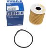 Oil Filter [MAHLE LR030778]