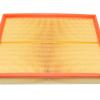 Air Filter Element [LAND ROVER PHE000112G]