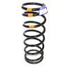 Coil Spring [ALLMAKES REB101341]