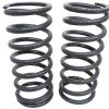 Coil Spring - Std Height [TERRAFIRMA TF025]