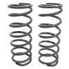 Coil Spring - Std Height [TERRAFIRMA TF028]