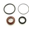 Terrafirma Mega Sport Shock Seal Kit [TERRAFIRMA TF137SEALS]