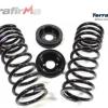 Air to Coil Spring Conversion Kit - Rear [TERRAFIRMA TF225]